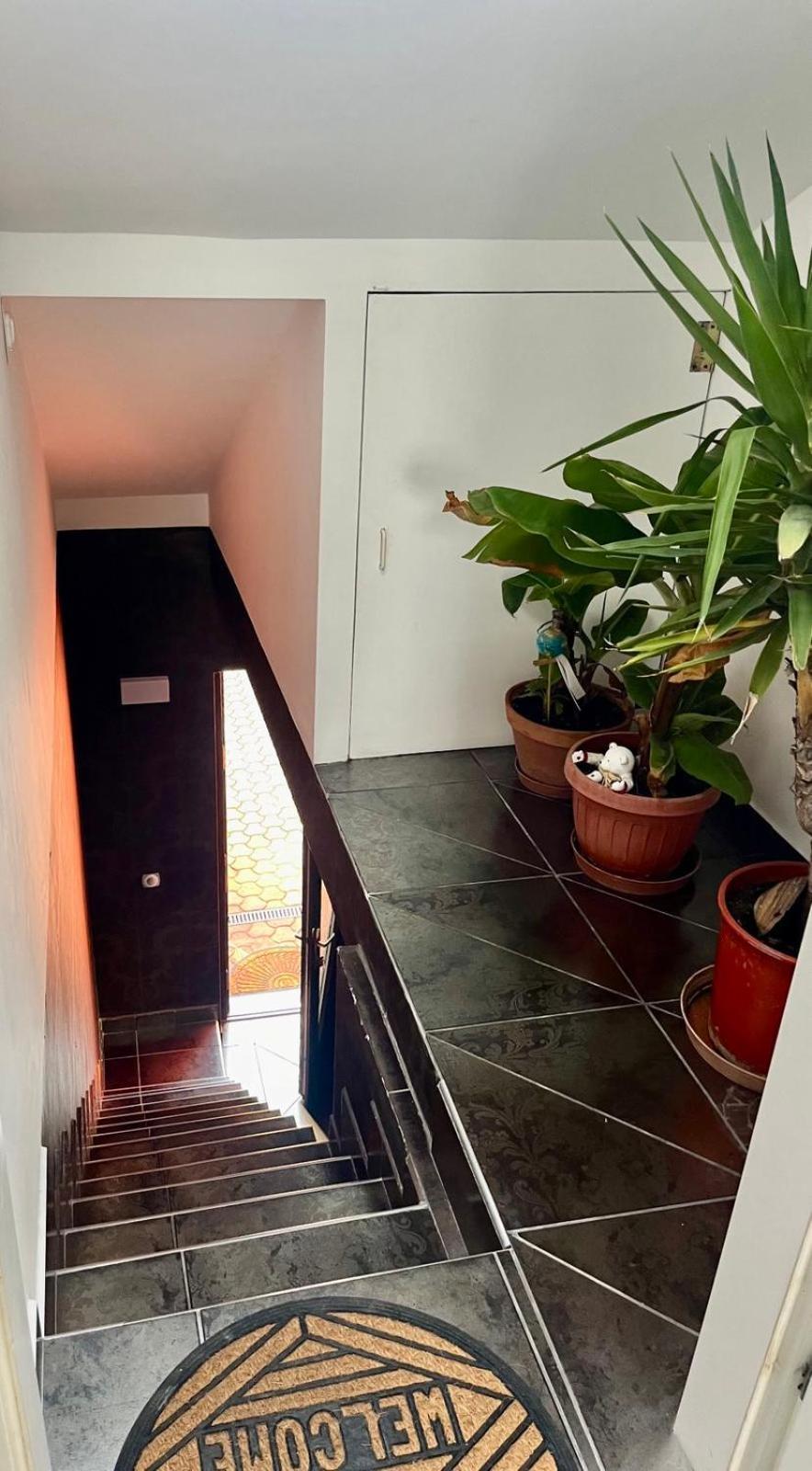 Chill Apartman بوداكالاز المظهر الخارجي الصورة